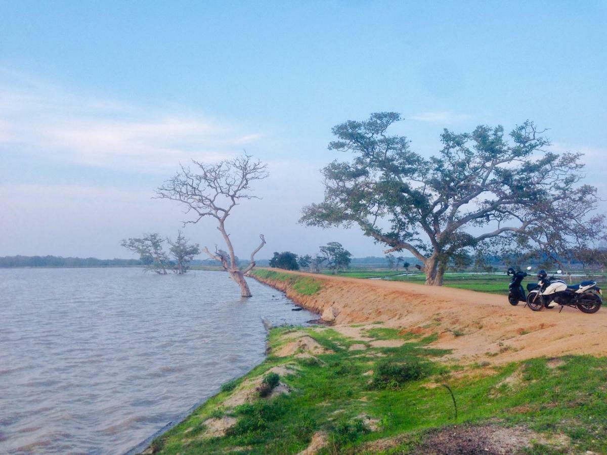 Utopia Arugambay Arugam Bay Bagian luar foto